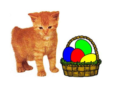 Ανοιξιάτικο μπαζάρ για … γάτες